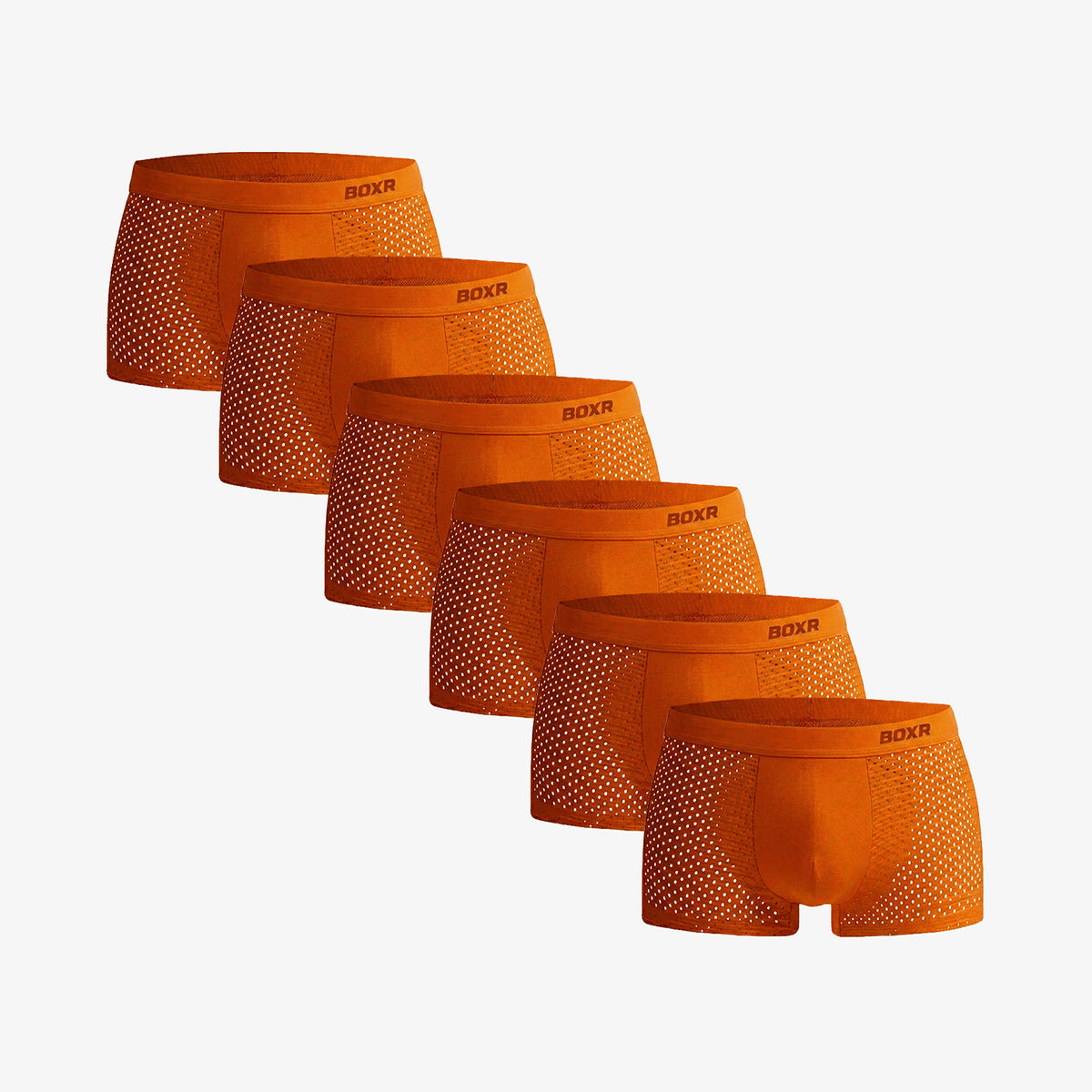 BOXR Underwear