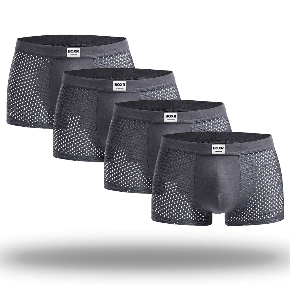 BOXR  Bamboo Boxers 4-Pack Gray